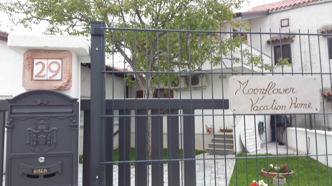 Moonflower Pliskovica Екстер'єр фото